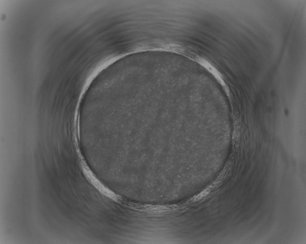 X0000085041080200703261306