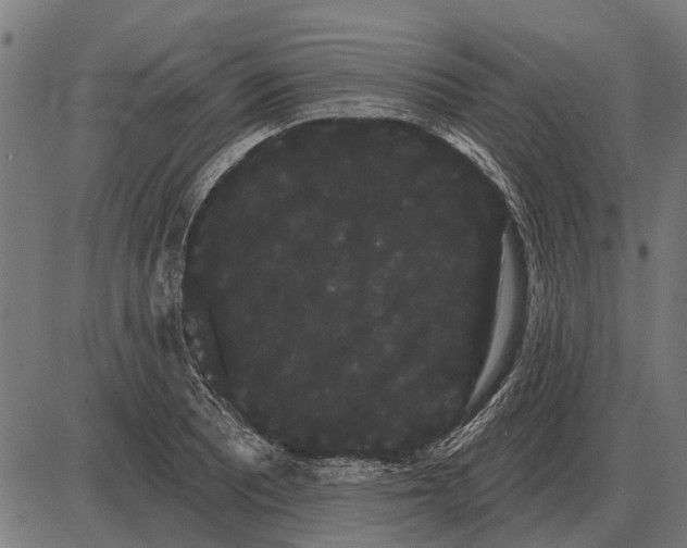 X0000085041081200703261306