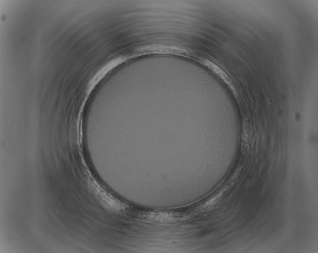 X0000085041082200703261306