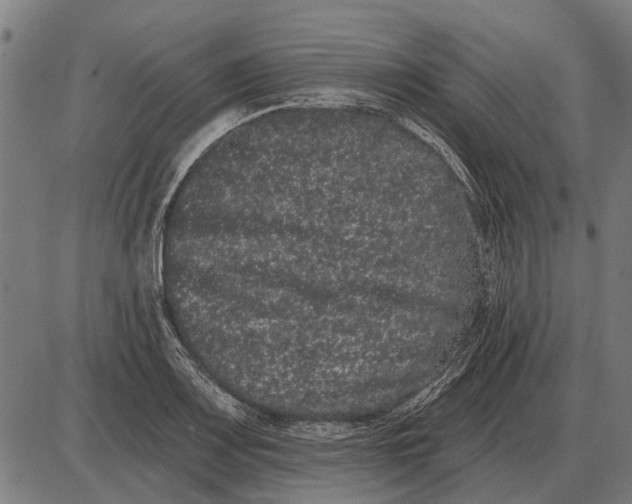 X0000085041083200703261306