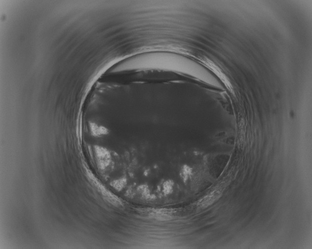 X0000085041084200703261306