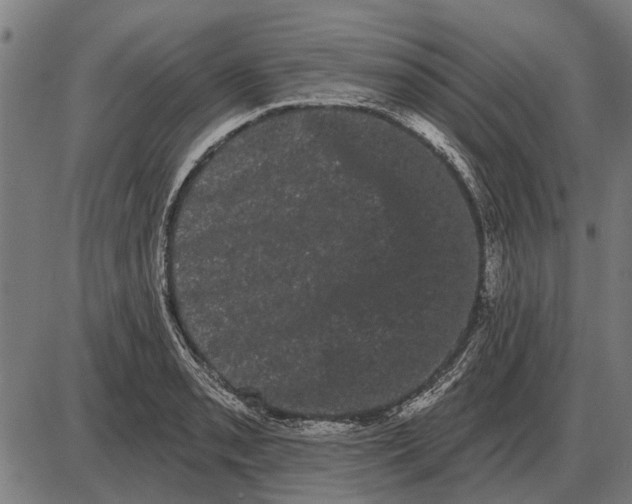 X0000085041085200703261306