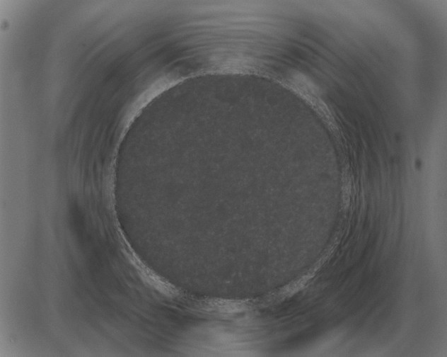 X0000085041086200703261306