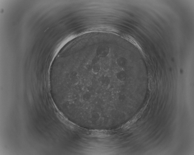 X0000085041087200703261306