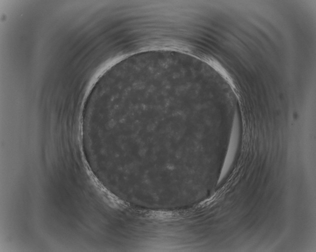 X0000085041088200703261306