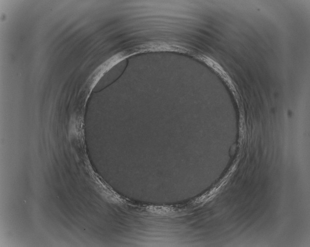 X0000085041089200703261306