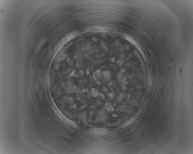 X0000085041090200703261306