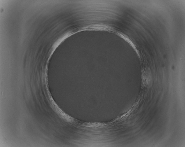 X0000085041091200703261306