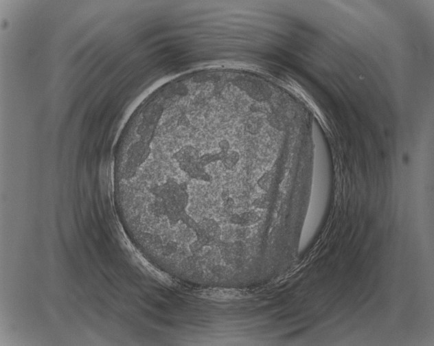 X0000085041092200703261306