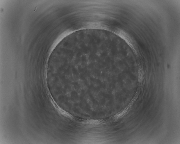 X0000085041094200703261305