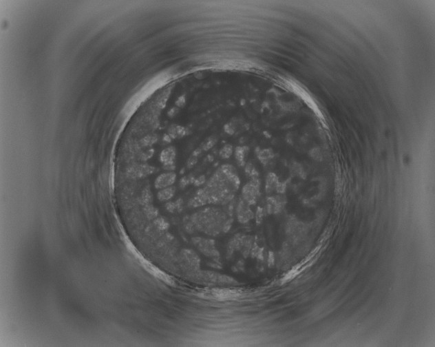 X0000085041095200703261305