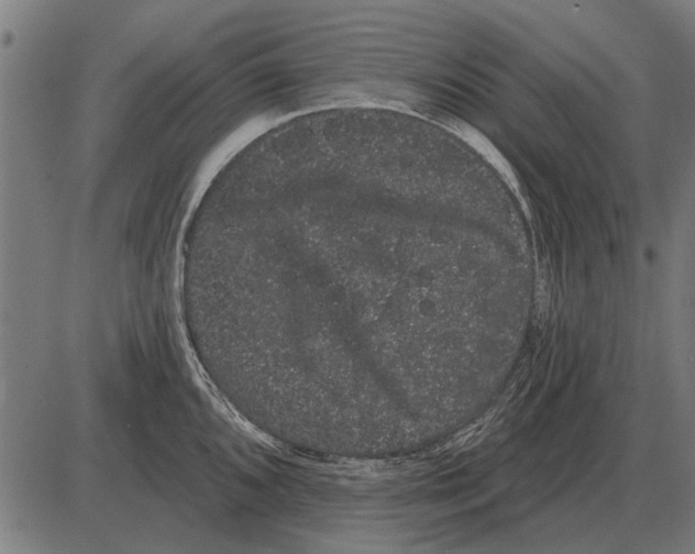 X0000085041096200703261305