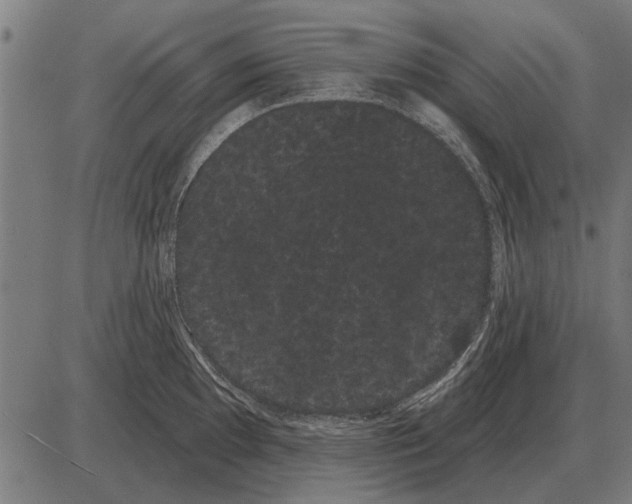 X0000085041097200703261305