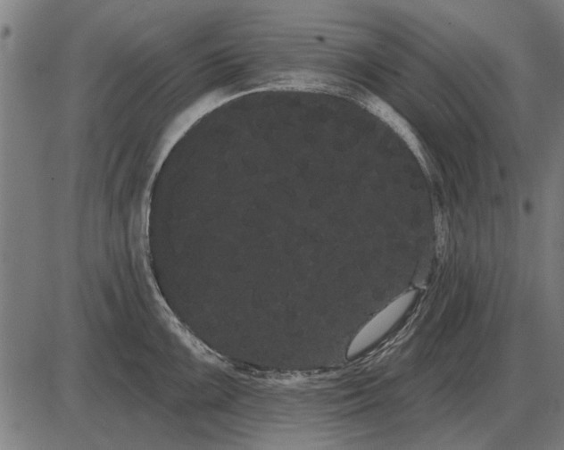 X0000085041099200703261305