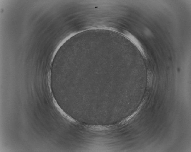 X0000085041100200703261305