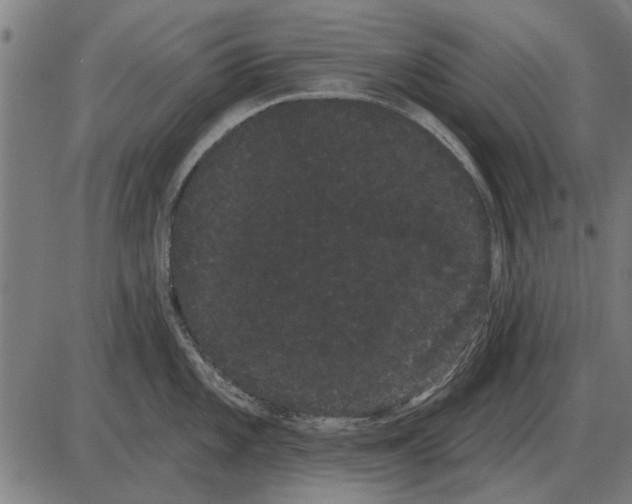 X0000085041101200703261305