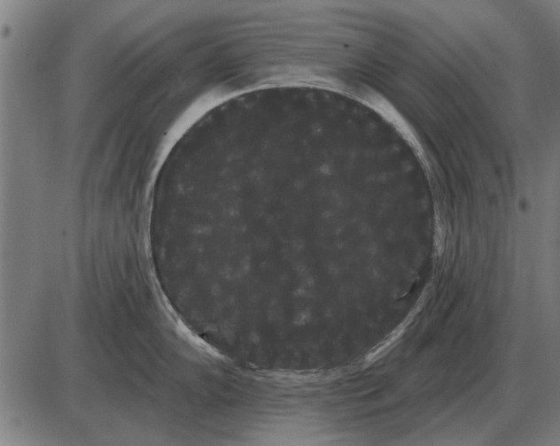 X0000085041102200703261305