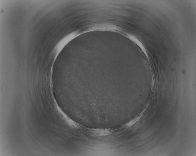 X0000085041103200703261305