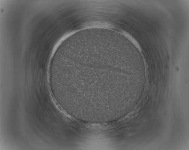 X0000085041104200703261305