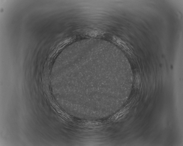 X0000085041105200703261305