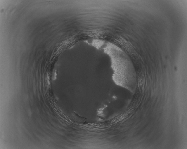 X0000085041106200703261305