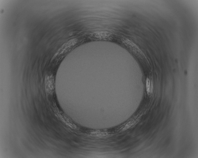 X0000085041107200703261305