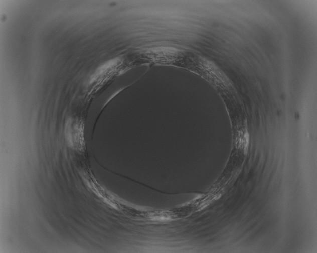 X0000085041108200703261305