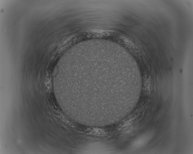 X0000085041109200703261305