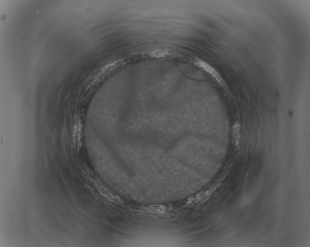 X0000085041111200703261305