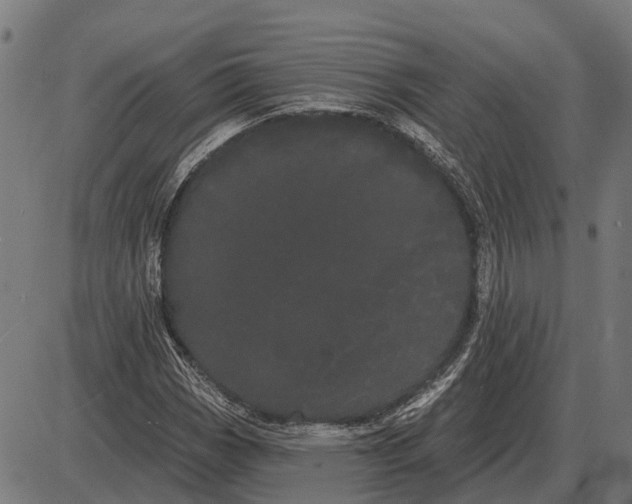 X0000085041113200703261305