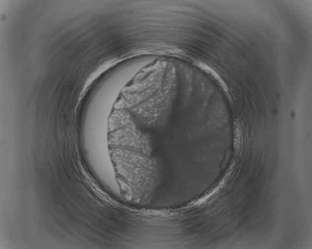 X0000085041114200703261305