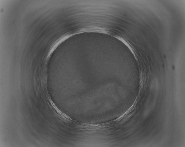 X0000085041115200703261305