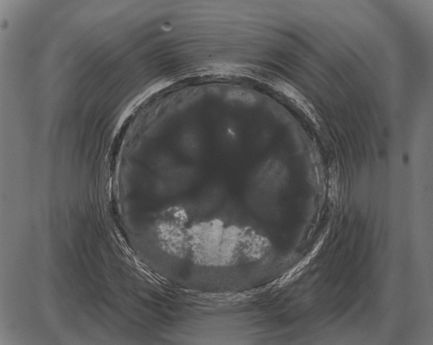 X0000085041117200703261305