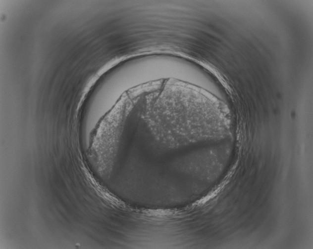 X0000085041118200703261305