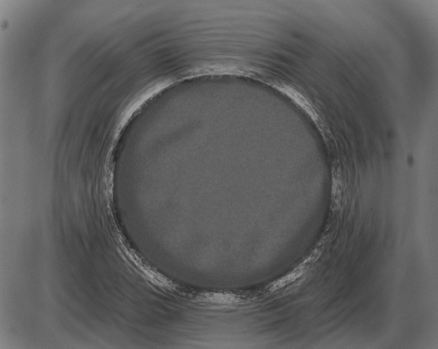 X0000085041119200703261305