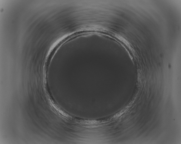 X0000085041120200703261305