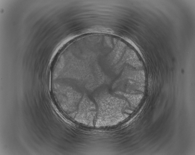 X0000085041123200703261305