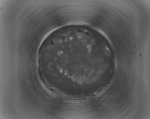 X0000085041124200703261305