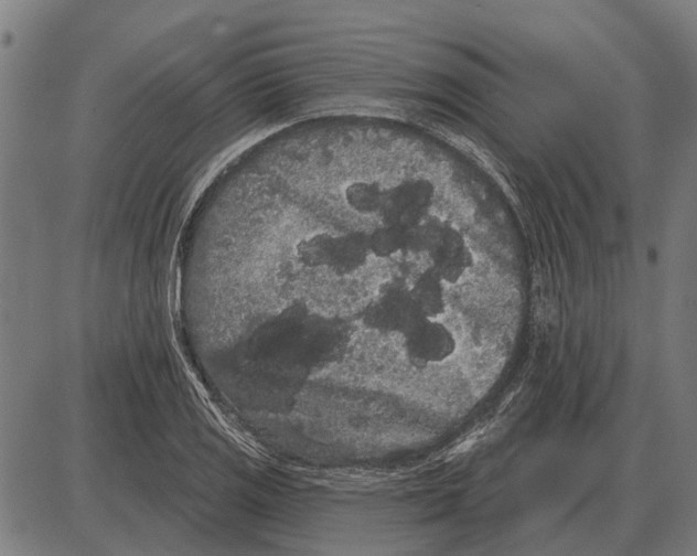 X0000085041125200703261305