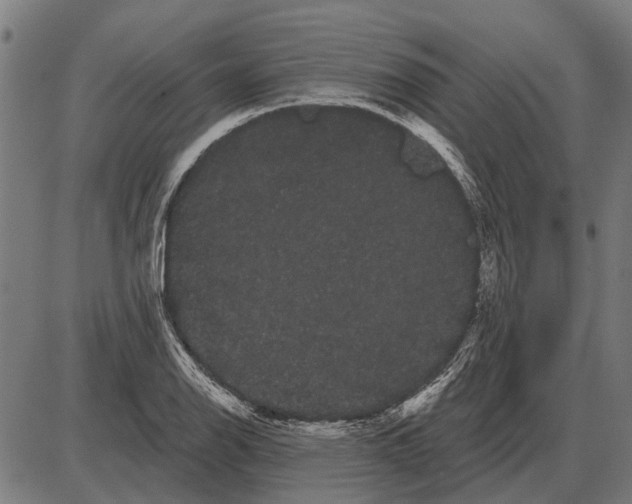 X0000085041126200703261305