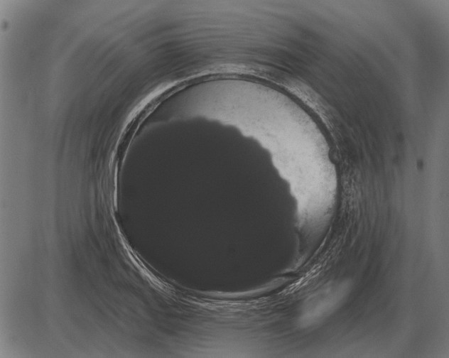 X0000085041127200703261305