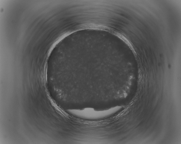 X0000085041128200703261305