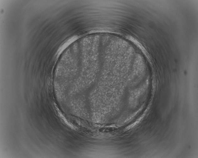 X0000085041129200703261305