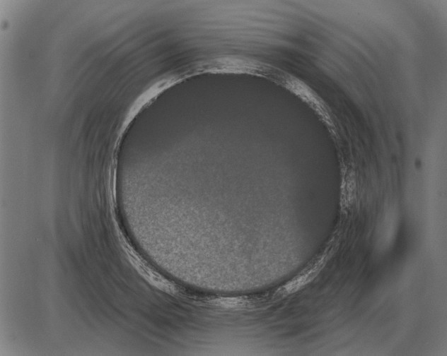 X0000085041130200703261305