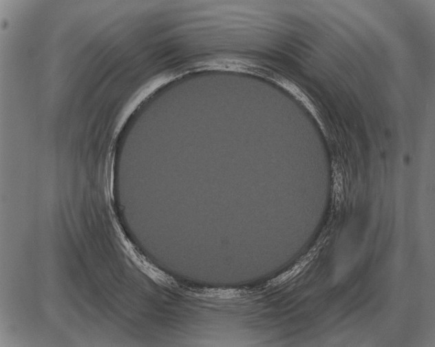 X0000085041131200703261305