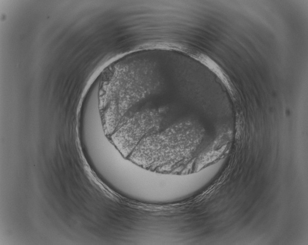 X0000085041132200703261305