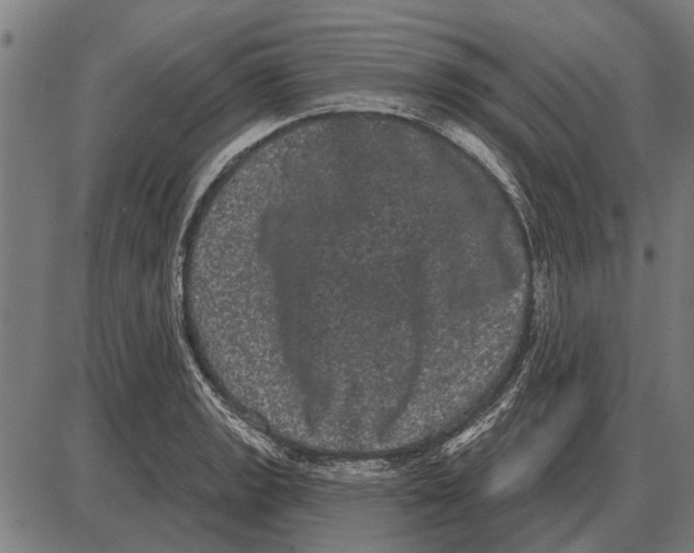 X0000085041133200703261305