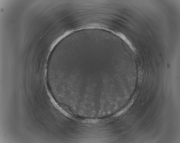 X0000085041134200703261305