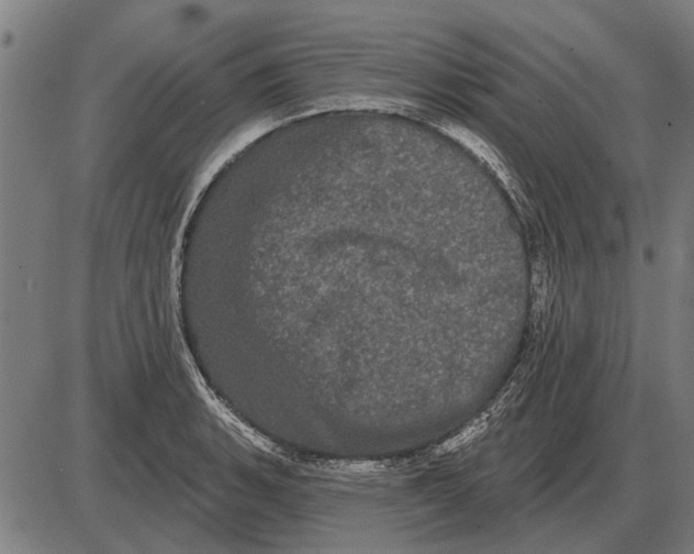 X0000085041135200703261305