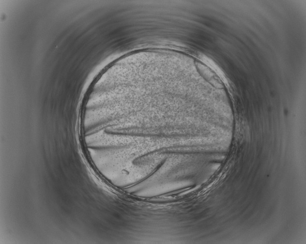 X0000085041136200703261305